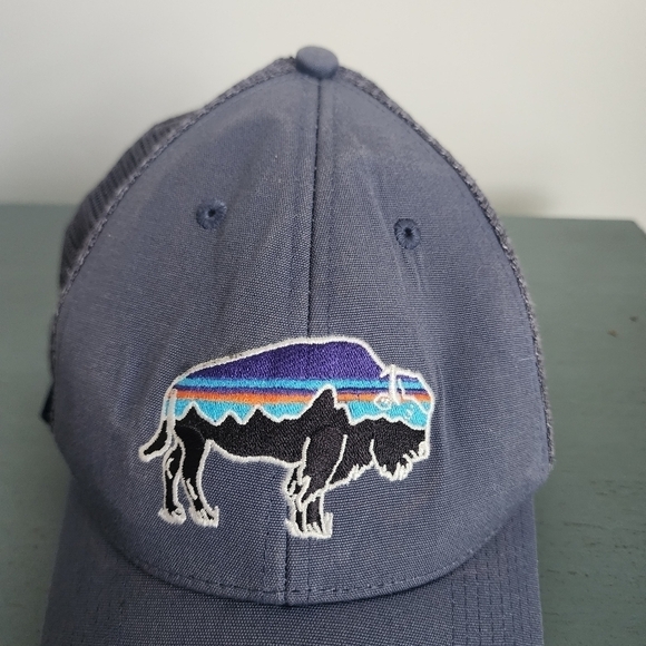 Patagonia Fitz Roy Trout Trucker Hat for Mens - Picture 4 of 9